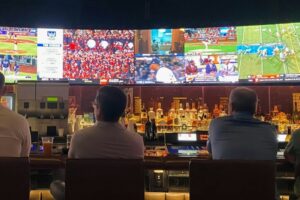 How Fan Data Is Redefining the Game for Sports Organizations