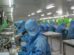Why Environmental Monitoring is the Heartbeat of Contamination Control in Pharma