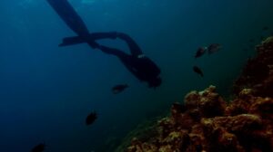 Into the Blue The Thrill of Sport Scuba Diving