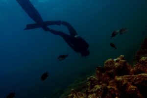 Into the Blue The Thrill of Sport Scuba Diving
