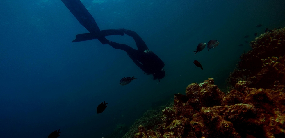 Into the Blue The Thrill of Sport Scuba Diving