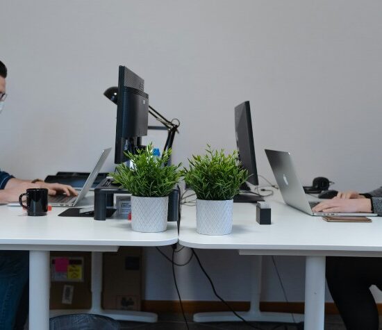 How Green Practices Win Over Modern Consumers