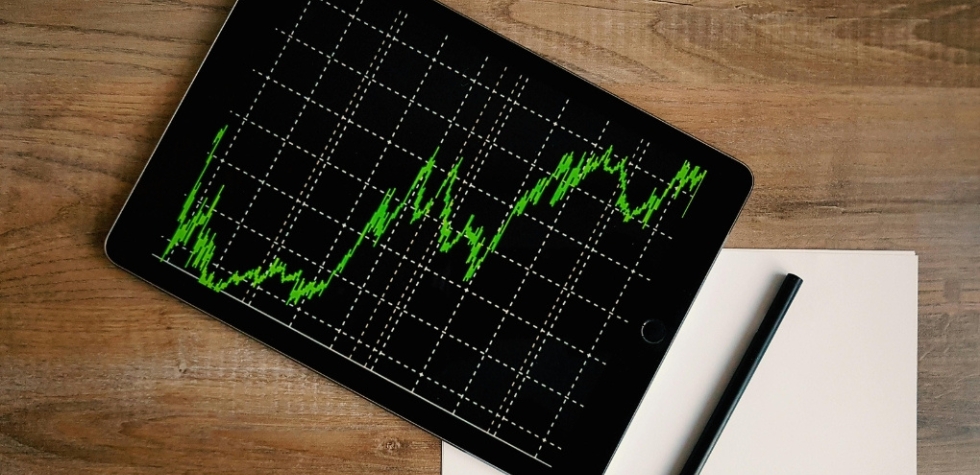 Non-Tech Growth Stocks – The Hidden Stars of the Market